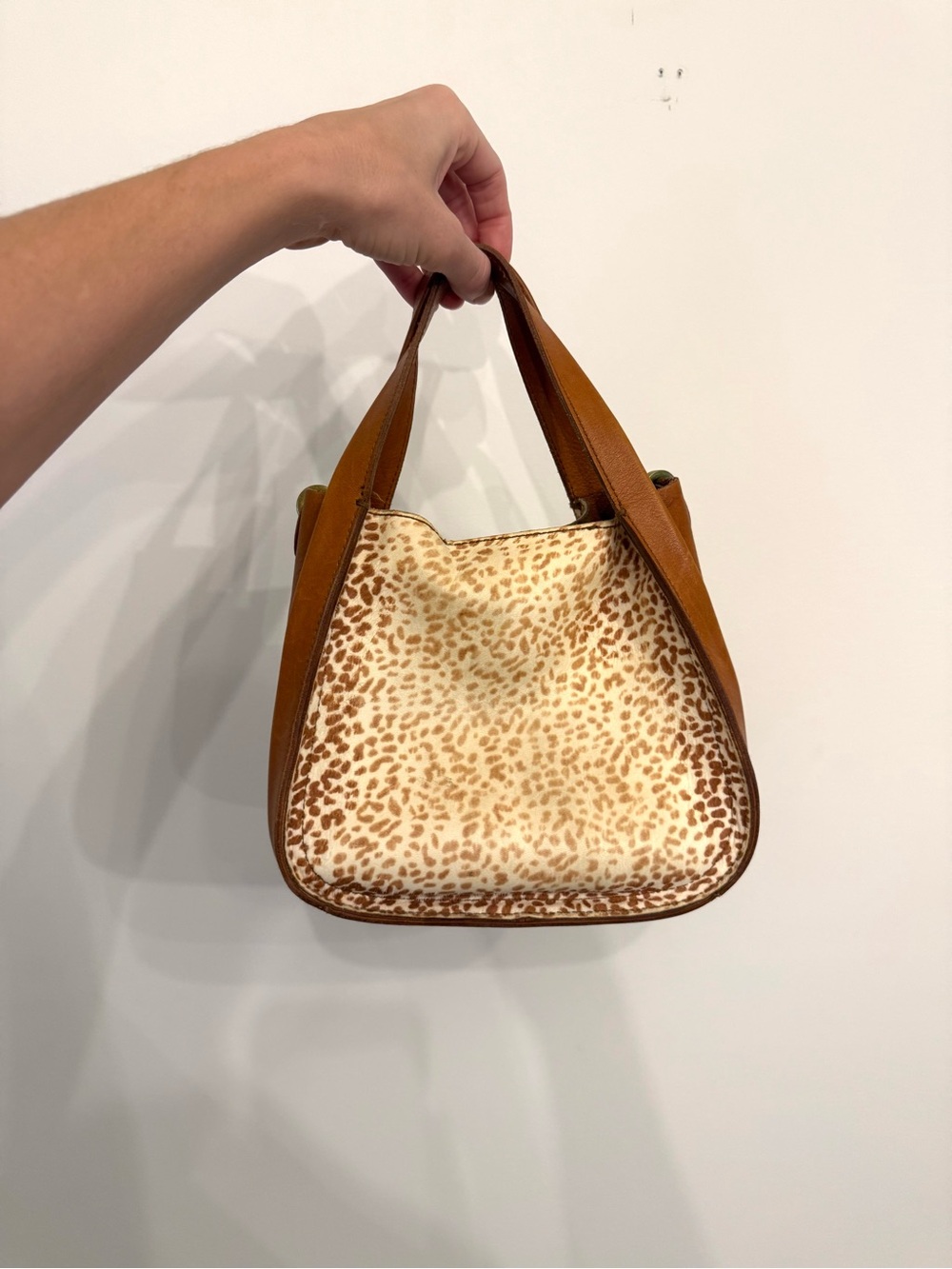 Madewell Micro Sydney crossbody bag